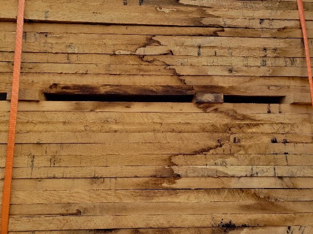 Zebra stain pattern on pallet boards from fungal growth