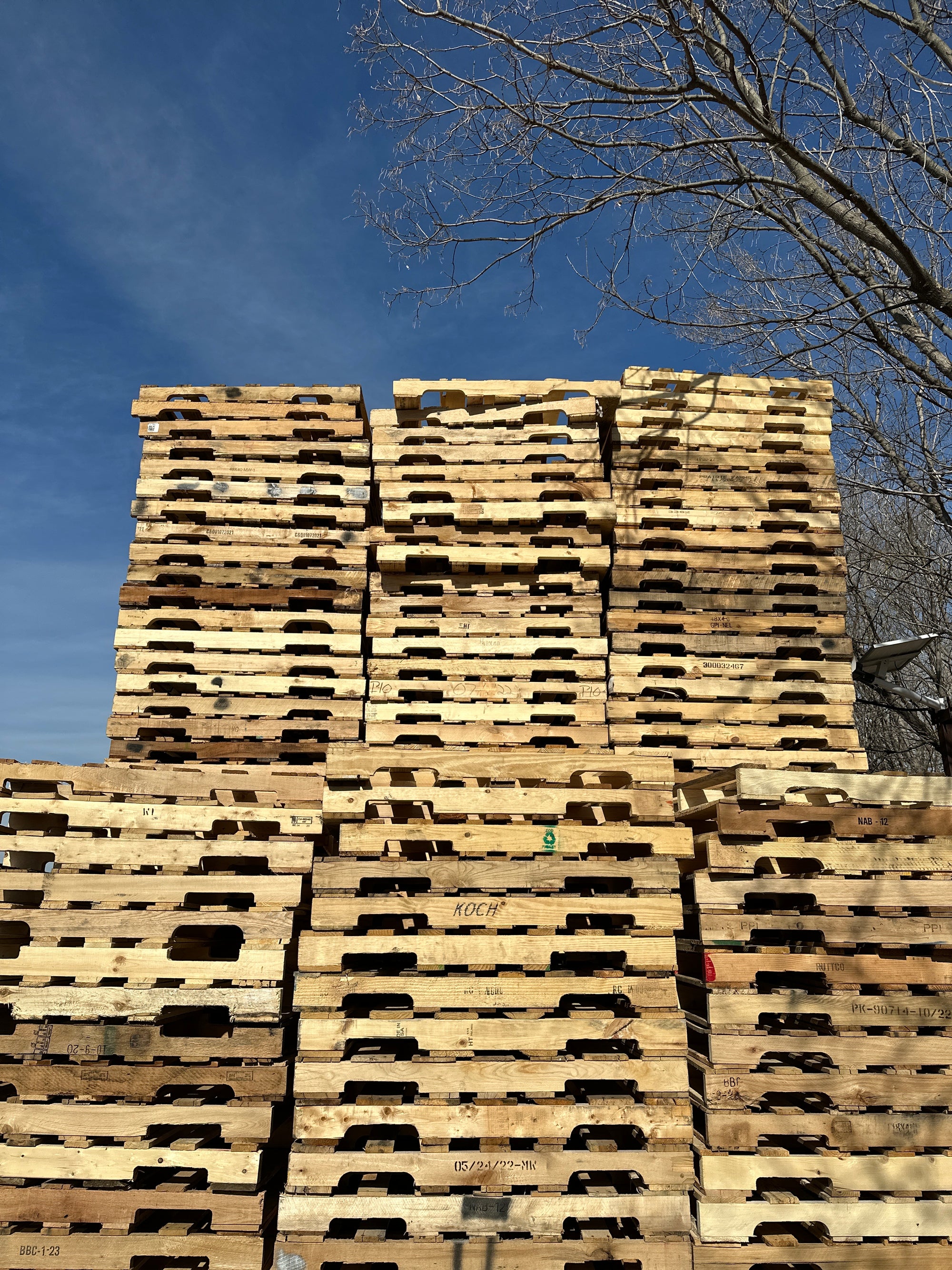 Tall stacks of recycled wood pallets stored outdoors in the yard