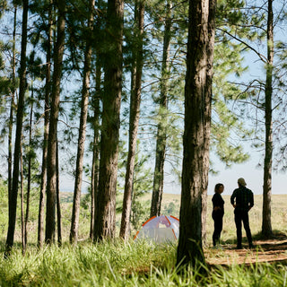 Sustainable forests and pallets